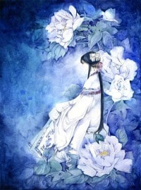 韋帥望之魔教教主
